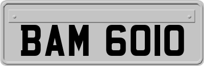 BAM6010
