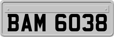 BAM6038