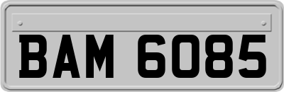 BAM6085