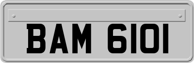 BAM6101