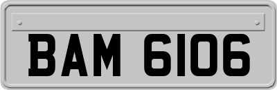 BAM6106