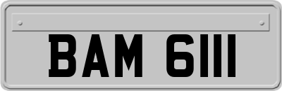 BAM6111