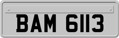 BAM6113