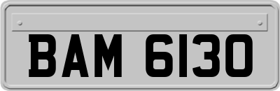 BAM6130