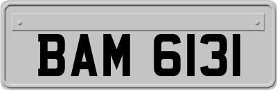 BAM6131