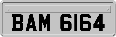 BAM6164