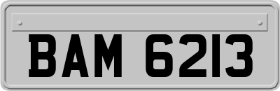 BAM6213