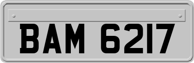 BAM6217
