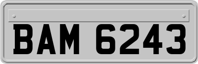 BAM6243