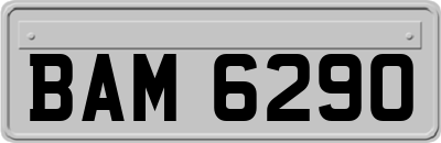 BAM6290