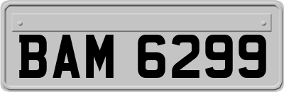 BAM6299