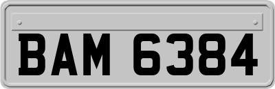 BAM6384