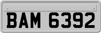 BAM6392