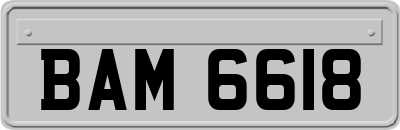 BAM6618
