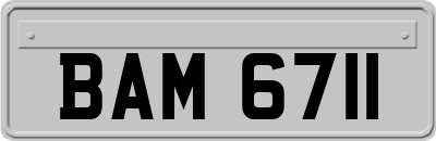 BAM6711