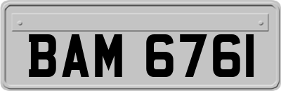 BAM6761