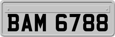 BAM6788