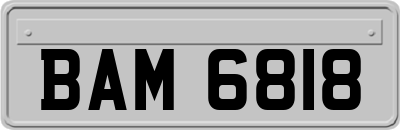 BAM6818