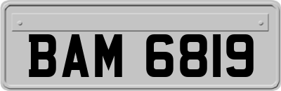 BAM6819