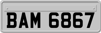 BAM6867