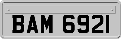 BAM6921