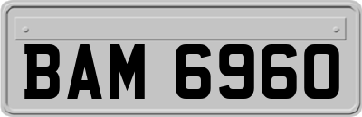 BAM6960