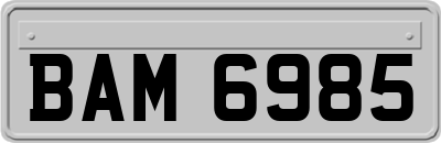 BAM6985