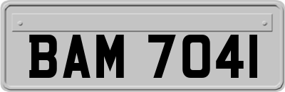 BAM7041