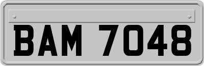 BAM7048