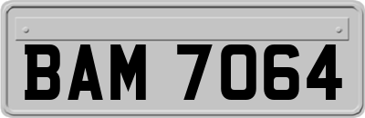 BAM7064