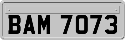 BAM7073