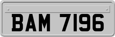 BAM7196