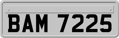 BAM7225