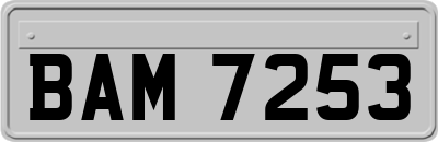 BAM7253