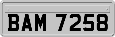 BAM7258