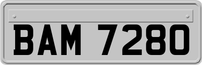 BAM7280