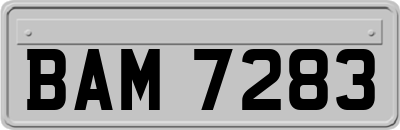 BAM7283