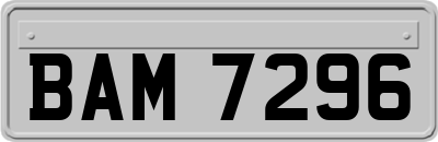 BAM7296