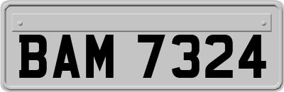 BAM7324