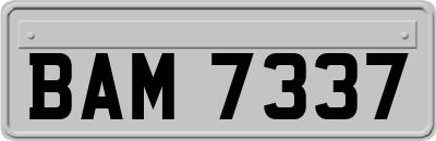 BAM7337