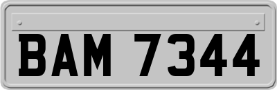 BAM7344