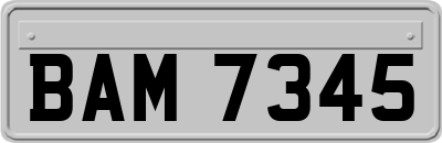 BAM7345