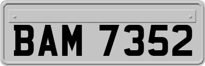 BAM7352