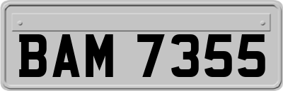 BAM7355