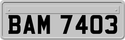 BAM7403
