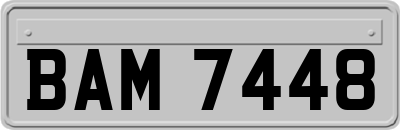 BAM7448