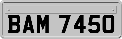 BAM7450