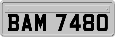 BAM7480