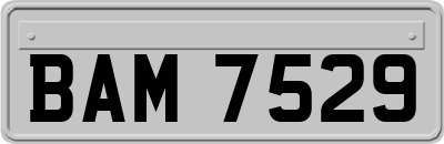 BAM7529