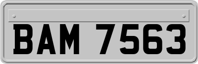 BAM7563
